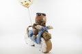 Bear Diaper Motorcycle